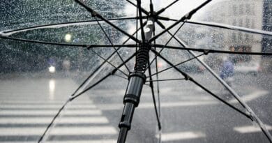 umbrella, rain, wet