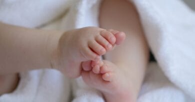 baby, child, grandchild, feet, baby feet, infant, children's feet, toes, cute, baby, baby, baby, baby, baby