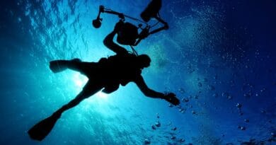 scuba diving, swimming, sea, ocean, water, underwater, underwater diving, diver, diving, recreational activity, scuba diving, scuba diving, scuba diving, scuba diving, swimming, swimming, underwater, nature, underwater, diving, diving, diving, diving, diving